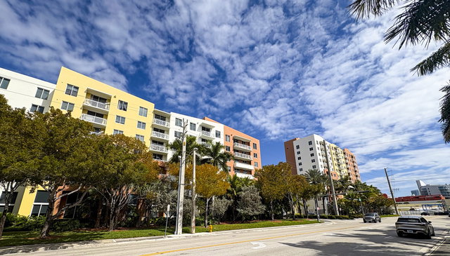 The Venture  photo 2